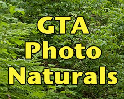 GTA PhotoNaturals Project